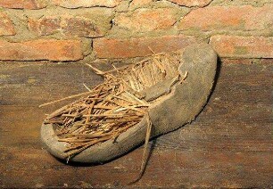 Holzschuh