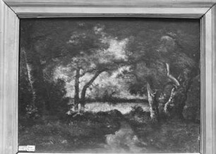 Waldweg
