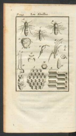 Tafel: Les Abeilles.