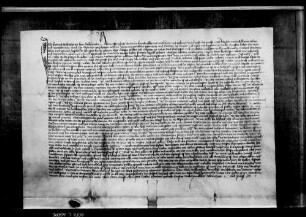 Hans Schlichtner von Gültlingen reversiert den Kaplänen zu Calw für das Erblehen ihres gemeinsamen Hofs zu Gültlingen.