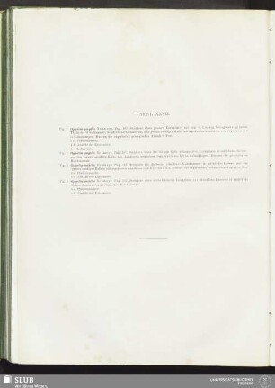 Tafel XXXII
