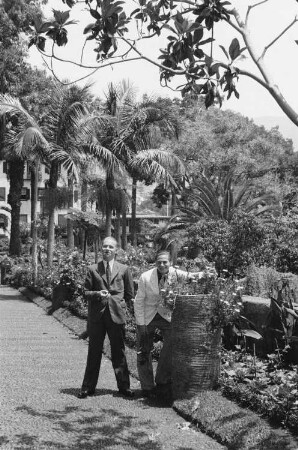 Reisefotos Madeira. Der Bordfotograf Franz Grasser auf einem Spaziergang (vielleicht in einem botanischen Garten)