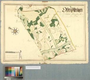 [Altenwillershagen (Oldenwillershagen) Amt/Distrikt Barth] Olden=Willershagen in Barths District och Andershagens Sochn
