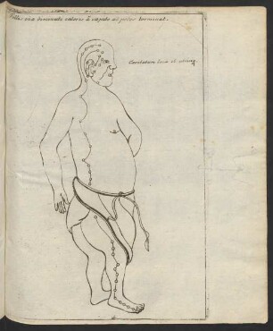 Follis via diminuti caloris a capite ad pedes terminat.