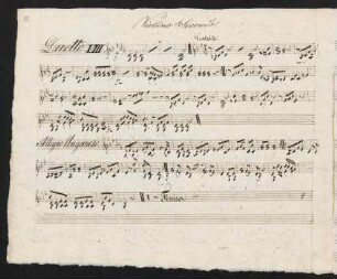 Violino Secondo