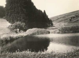 Westerzgebirge. Teich am Zechengrund bei Oberwiesenthal