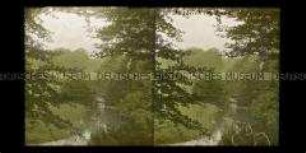 Park mit Fluss