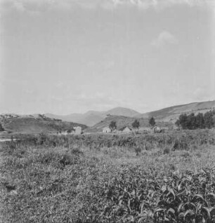Dorfbild : Blick über ein Feld in Richtung eines Dorfes