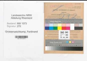 Entnazifizierung Ferdinand Grosserueschkamp , geb. 19.04.1903 (Landwirt)
