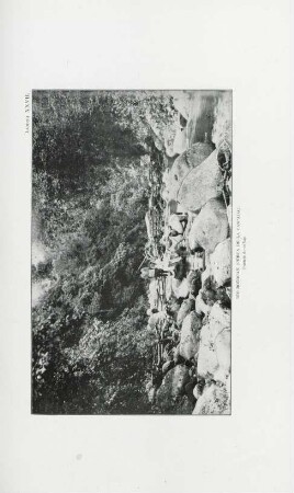 Lámina XXVII. Río Botocan (Cerca de la Cascada)
