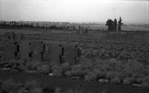 Vossenack: [Ehrenfriedhof Vossenack], Kreuze