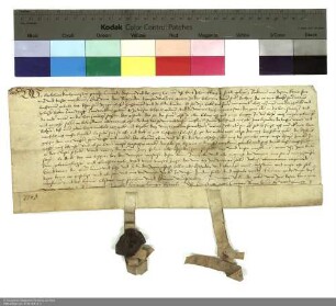 Propst, Dechant und Konvent von Johannesberg verleihen Wiesen in Welkers