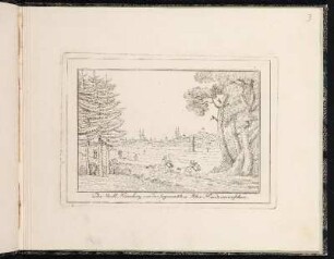Die Stadt Nürnberg von der sogenan[n]ten Peter Heide anzusehen. - Nürnberg; Nürnberg-Gleißhammer