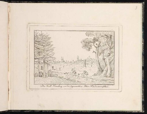 Die Stadt Nürnberg von der sogenan[n]ten Peter Heide anzusehen. - Nürnberg; Nürnberg-Gleißhammer
