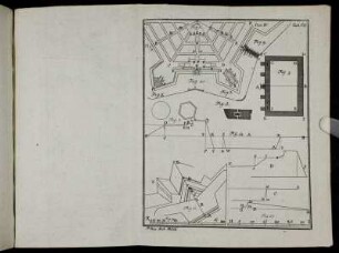 Part IV. Tab. VII.