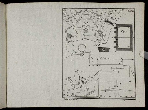 Part IV. Tab. VII.