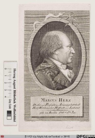 Bildnis (Naphtali) Marcus Herz