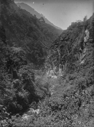 Schlucht : Blick auf eine Schlucht im Ruwenzori-Gebirge