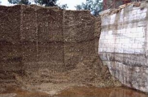 Fotografie: Studienreise, Lagertechnik, Maissilage, Flachsilo, Flachsilofräse