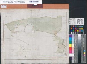 Buchholz (Petershagen) Vermessung des Buchholzer Schäferbrinks und Kley 1789 70 rh. Ruten (Fuß) = 15,6 cm 34 x 44 kol. Zeichnung Friemel Spez.Verz. Markenkarten VI Nr. 2