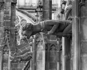 Wasserspeier: Mann mit Laute