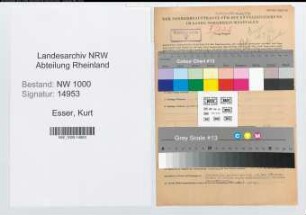 Entnazifizierung Kurt Esser, geb. 23.07.1904 (Kaufmann)