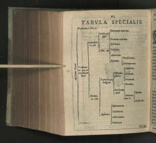 VI. Tabvla Specialis
