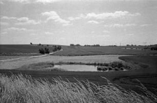 Angermünde : Bei Angermünde, Mündesee-Rundweg; siehe auch 2551_12 u.a.