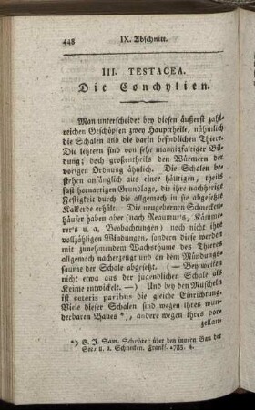 III. Testacea. Die Conchylien