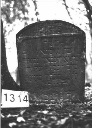 Grabstein 1314 (Index: 99900188) Material: Sandstein Zustand: angewittert, unten stark verwittert Maße HxBxT: 73x53x8 cm Beschreibung: Stele mit Segmentbogenabschluss, im Bogenfeld hängende Blüte Symbolik: Blüte: Grabstein 1314