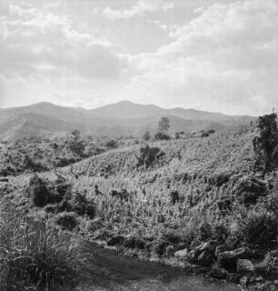 Landschaft : Blick über die Hänge bei Sake