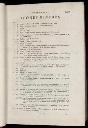 Tabularum. Icones Minores.
