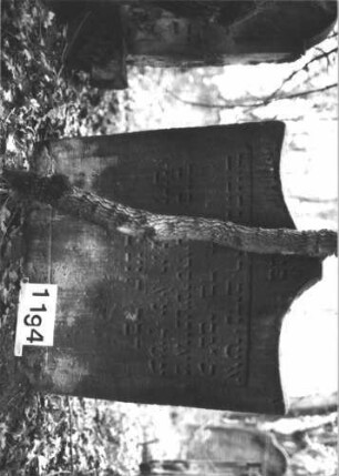 Grabstein 1194 (Index: 99899947) Material: Sandstein Zustand: unten leicht angewittert Maße HxBxT: 88x76x9 cm Beschreibung: Stele mit oben abgeflachtem Vorhangbogenabschluss: Grabstein 1194
