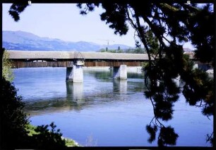 Bad Säckingen: alte Rheinbrücke, Vordergrund Baumäste