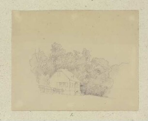 Haus umgeben von Bäumen