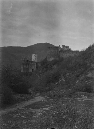 Schloss Sigmundskron : Blick auf über Apfelbäume auf die Burg "Schloss Sigmundskron"