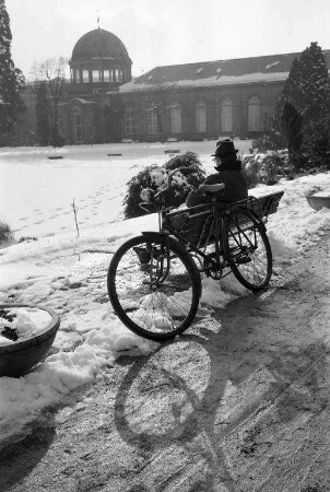 Sonniger Wintertag im Botanischen Garten
