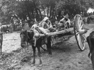 Einspänniges Fuhrwerk. Pferd vor einachsigem Plattenwagen mit Familie auf der Ladefläche : Samarkand. Einspänniges Fuhrwerk. Pferd vor einachsigem Plattenwagen mit Familie auf der Ladefläche