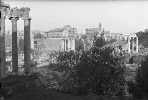 Rom. Forum Romanum. Blick von Westen zum Kolosseum