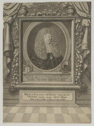 Bildnis des Henricus Volgnad