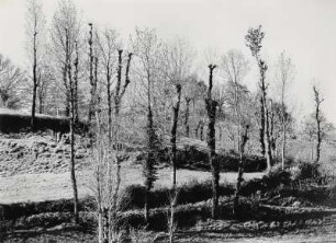 Vorfrühlingslandschaft in der Auvergne