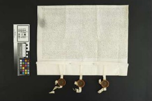 Herrnsheim: Vergleich und Cessio juris patronatus und 1/3 am großen Zehnten zu Herrnsheim an die Herren v. Dalberg cum certis oneribus