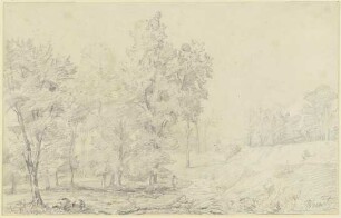 Baumlandschaft
