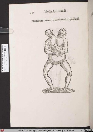 Monstrum hermaphroditicum biceps aliud.
