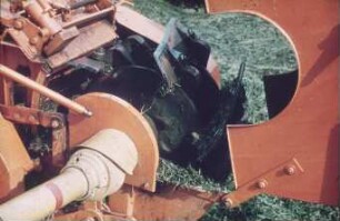 Fotografie: Erntetechnik, Silomais, Maishäcksler angebaut, Trommelfeldhäcksler