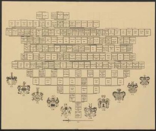 Stammtafel