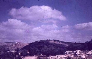 Bei Yasuf