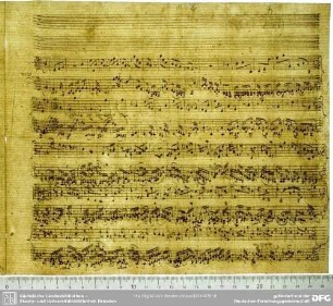 W-Dl-372 Dreiblatt (zw. Buchstaben?)