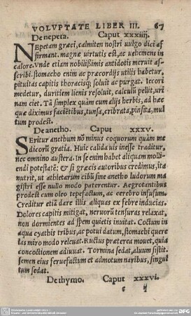 De thymo. Caput XXXVI.