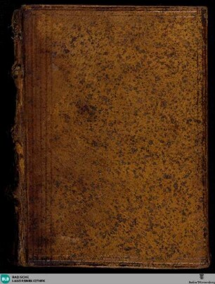 Lateinisches Stundenbuch - Cod. St. Peter perg. 101